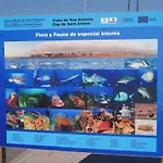 Marinas El Palmar アパート デニア