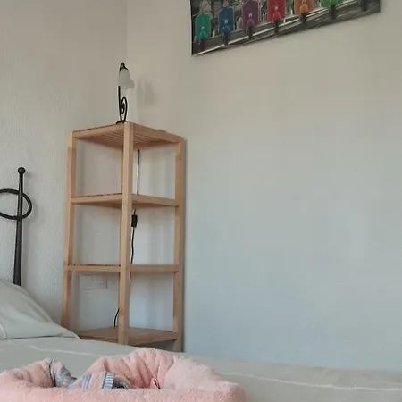 Marinas El Palmar Apartment *