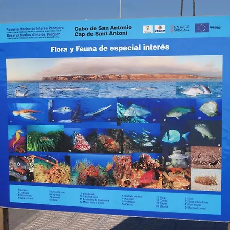 Marinas En I Appartamento Dénia