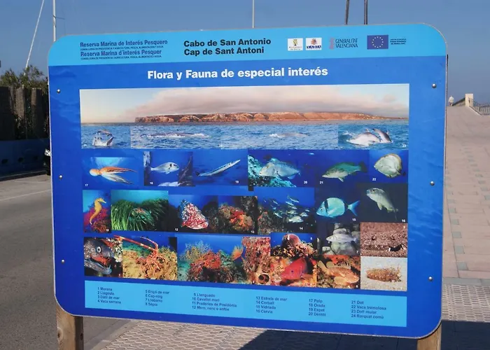 Marinas El Palmar דירה דניה